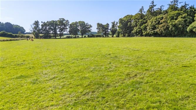 Whole: Land & Cottage At Lisnavagh, Lisnavagh, Co. Carlow