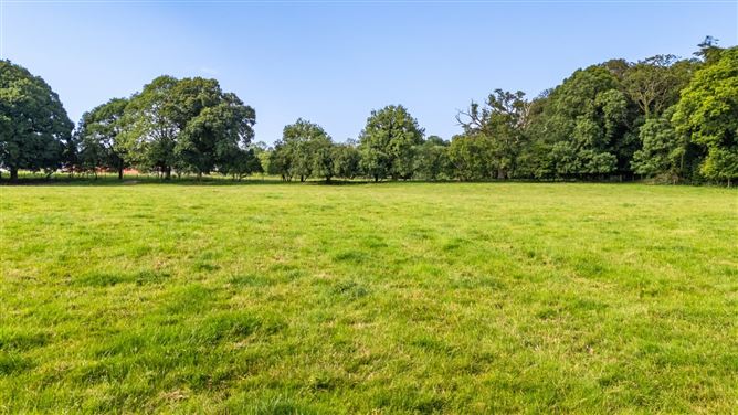 Photo 11 of 16 — Whole: Land & Cottage At Lisnavagh, Lisnavagh, Co. Carlow