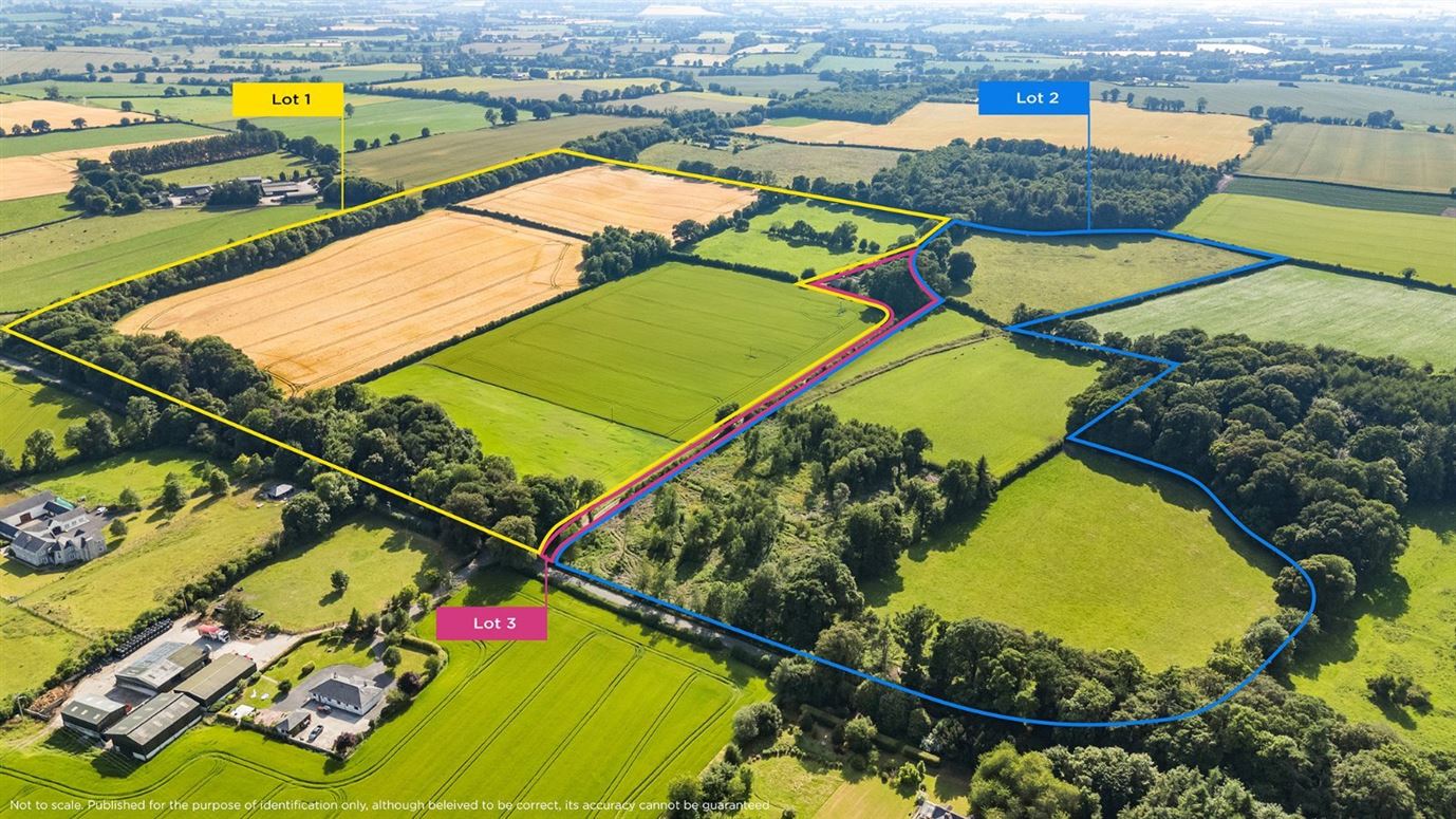 Whole: Land & Cottage At Lisnavagh, Lisnavagh, Co. Carlow