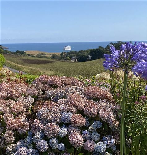 Photo 42 of 43 — Walyunga, Sandycove, Kinsale, County Cork