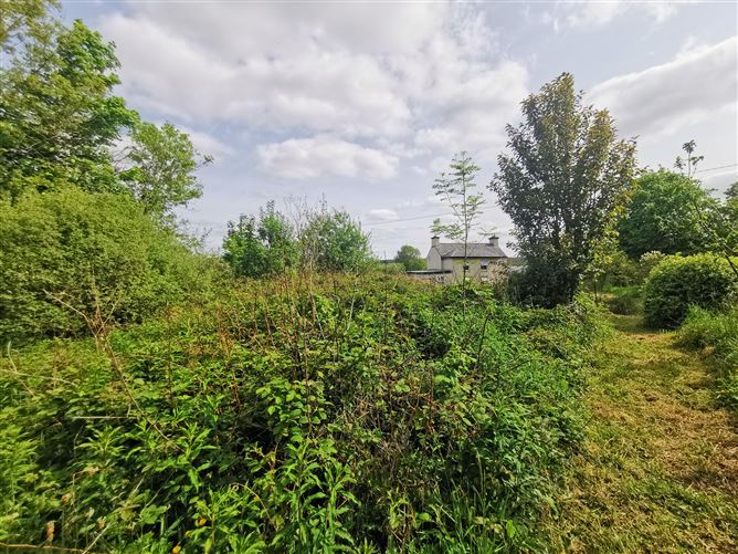 Kilroddan, Loughglynn, Roscommon