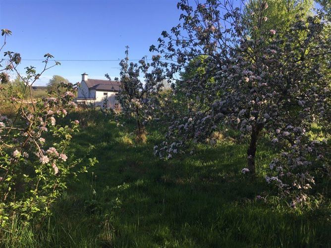 Kilroddan, Loughglynn, Roscommon