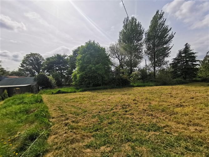 Kilroddan, Loughglynn, Roscommon