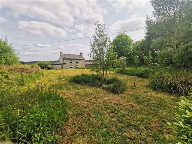 Kilroddan, Loughglynn, Roscommon