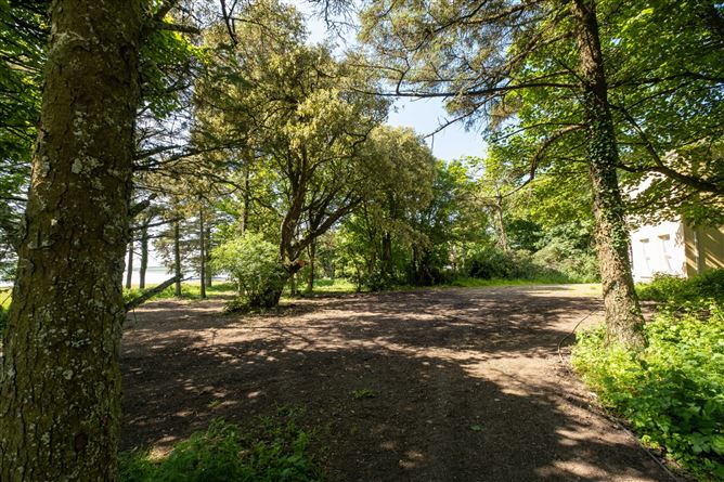 Carrigaholt Cottage, Castle & Lands, Rinemackaderrig, Carrigaholt Castle, Carrigaholt, Co. Clare
