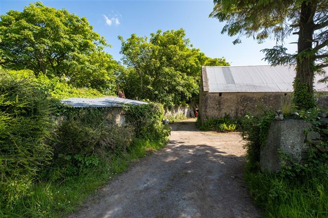 Carrigaholt Cottage, Castle & Lands, Rinemackaderrig, Carrigaholt Castle, Carrigaholt, Co. Clare