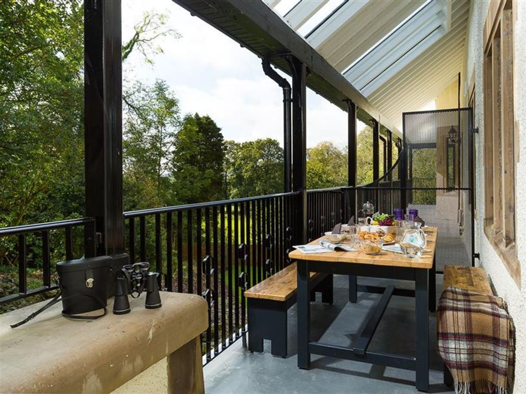 Deer Wood At Applethwaite Hall,Windermere, Cumbria, United Kingdom