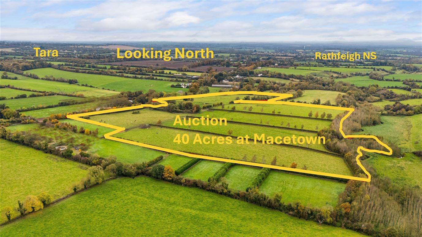 Macetown - 40 Acres Auction , Tara, Meath