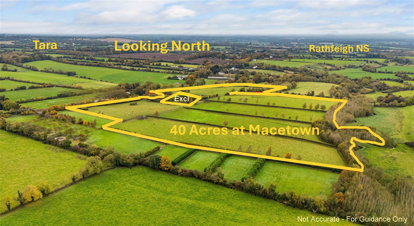 Macetown - 40 Acres , Tara, Meath