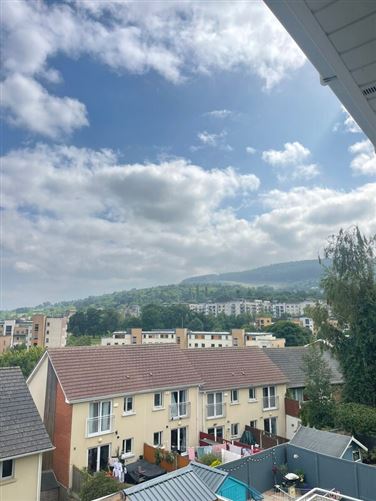 Friendly outdoors family, Dublin