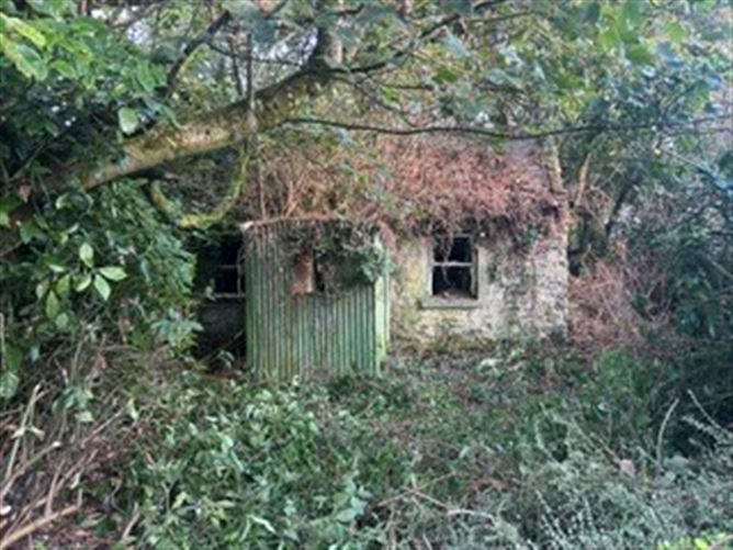 Garranfeen, Kilbrittain, West Cork