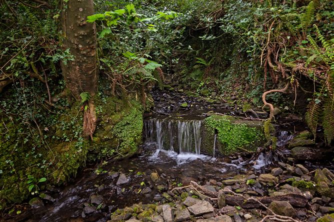 Lugnagall, Glencar, Co. Sligo