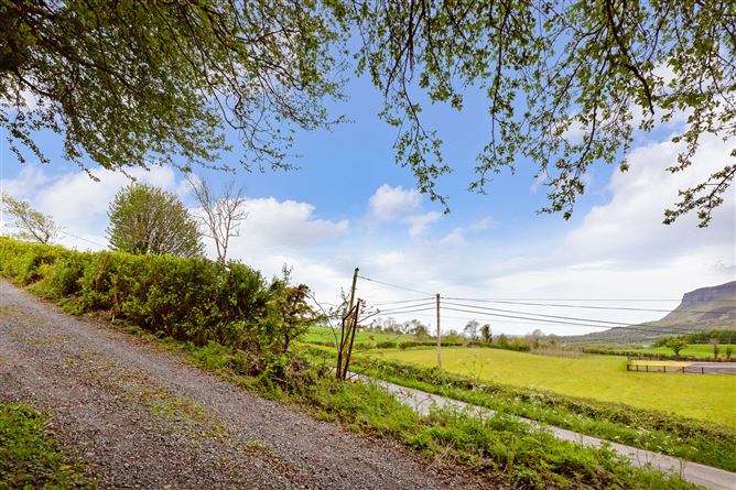 Lugnagall, Glencar, Co. Sligo