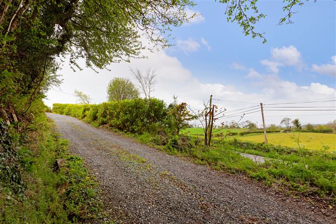 Lugnagall, Glencar, Co. Sligo