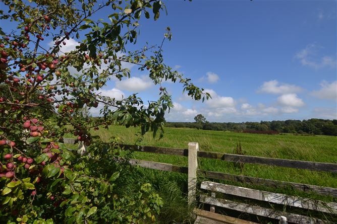 Barroge, Castletown, Wexford