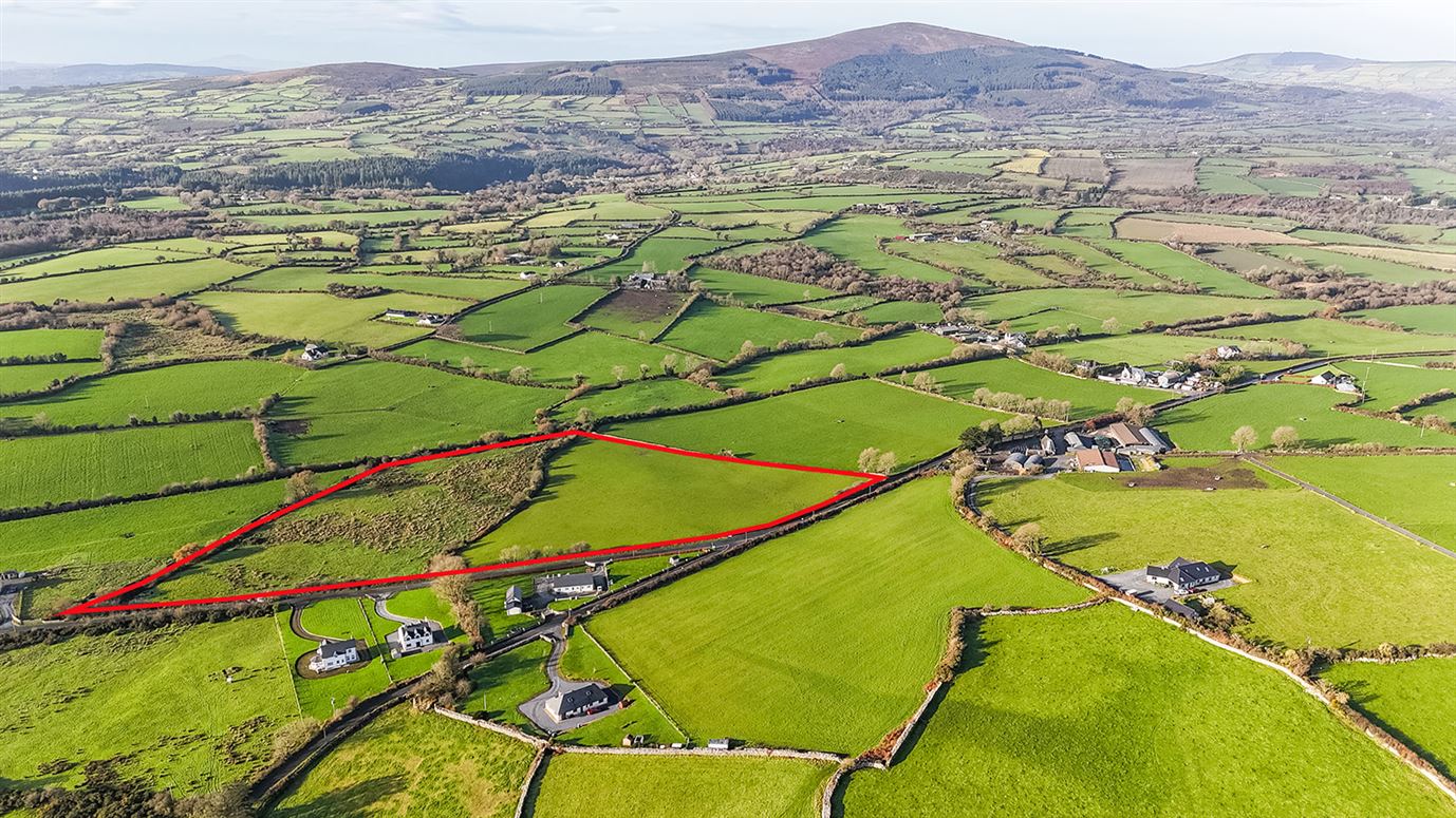 c. 13 Acres at Dranagh, St. Mullins, Carlow, Co. Carlow