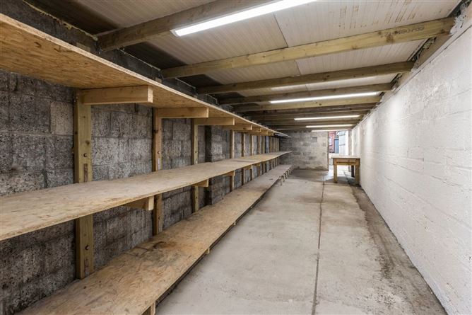 80A Windmill Road, Crumlin, Dublin 12