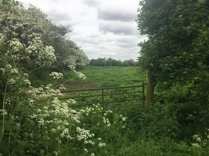 11.63 Acres, Eskerhill, Kildangan, Co. Kildare Sherry FitzGerald McDermott Kildare 4713994