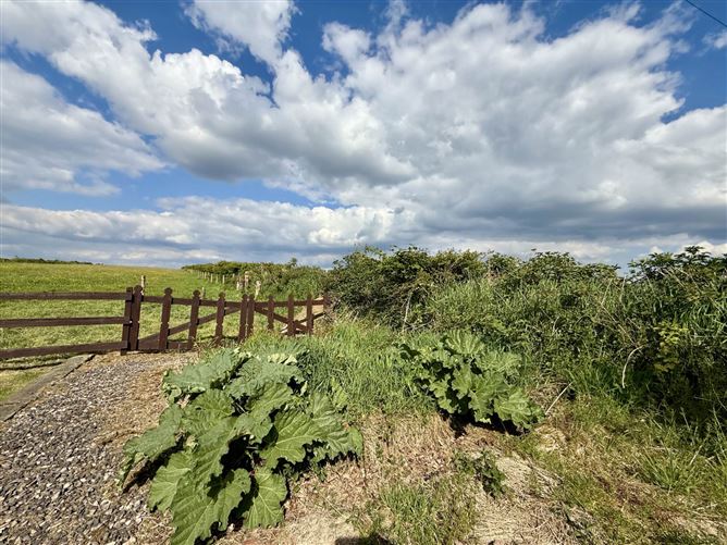 Kilruane, Lisacul, Castlerea, County Roscommon