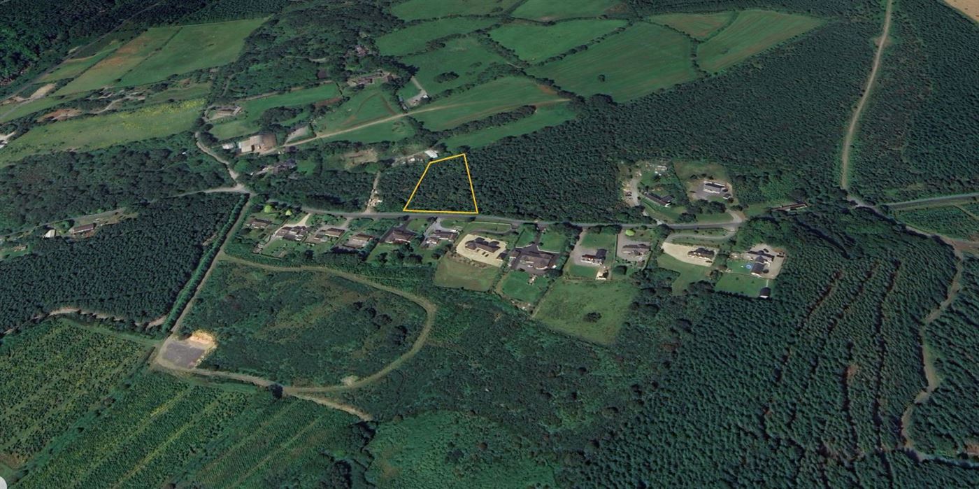 Laragh East, Laragh, Wicklow