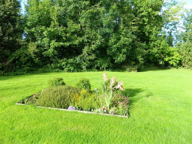 Rossy, Keshcarrigan, Leitrim, Leitrim