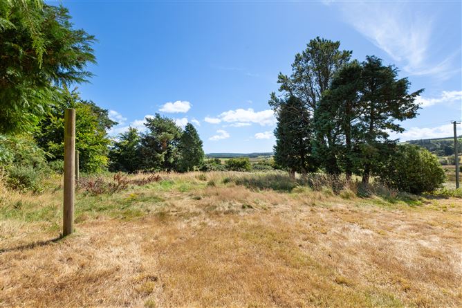 Tomriland, Roundwood, Wicklow
