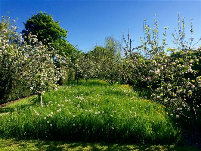 Fruitlawn, Old Town, Abbeyleix, Laois