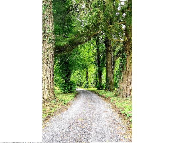 Tully Lodge, Kilmore, Carrick-On-Shannon, Roscommon