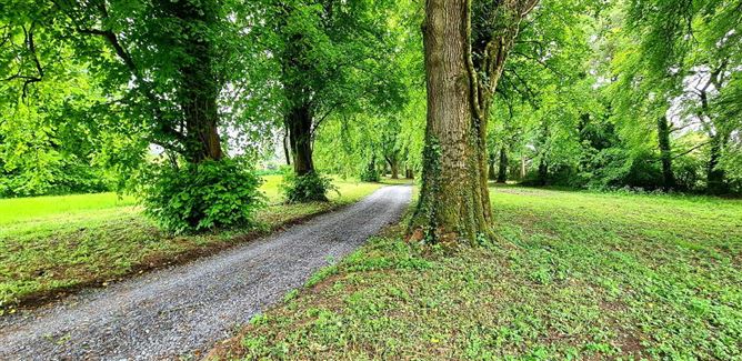 Tully Lodge, Kilmore, Carrick-On-Shannon, Roscommon