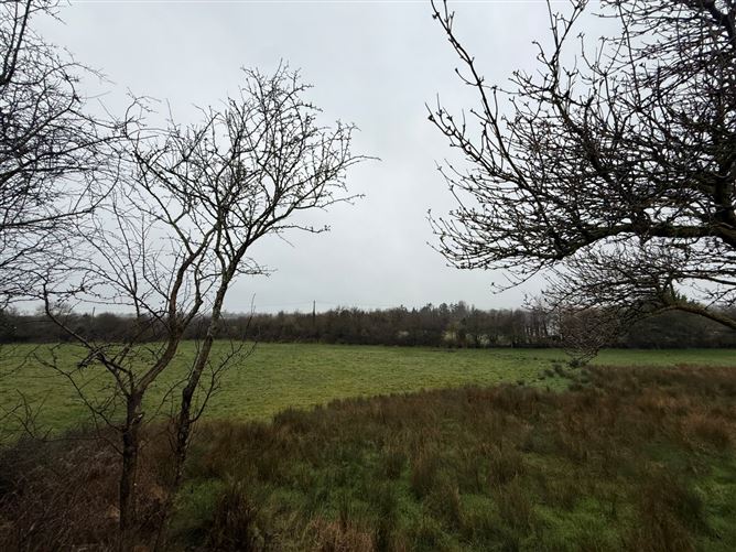 11 Newcastle Court, Cluain Ri, Ballymahon, Co.Longford.