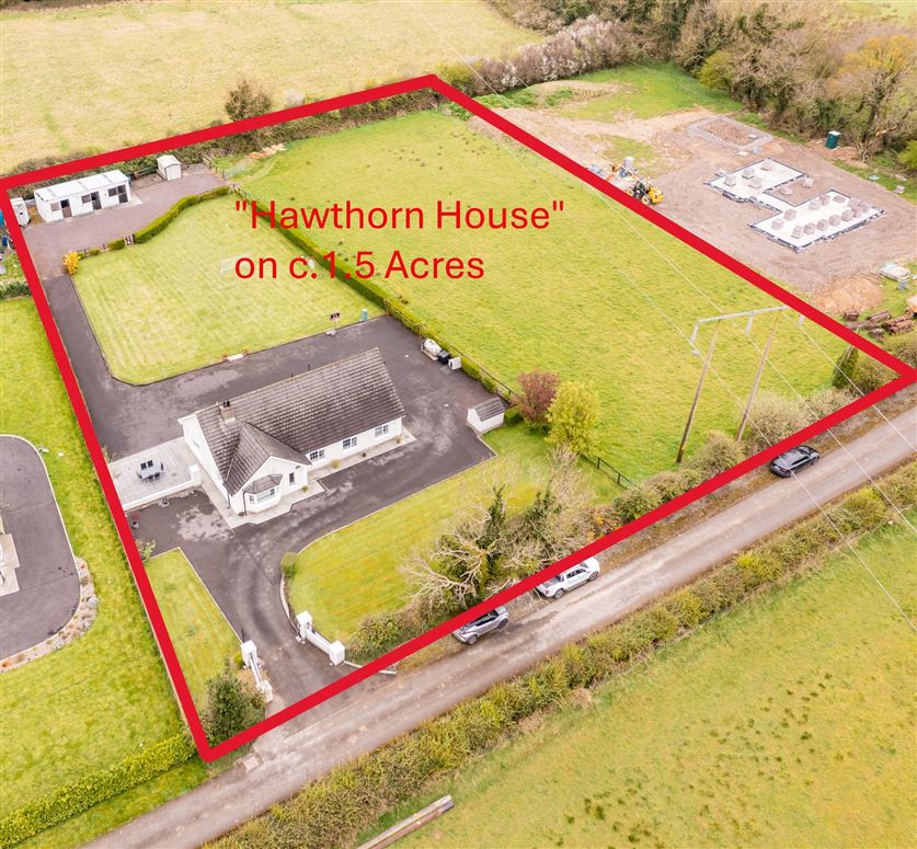 Hawthorn House Castlelumney, Tinure, Louth