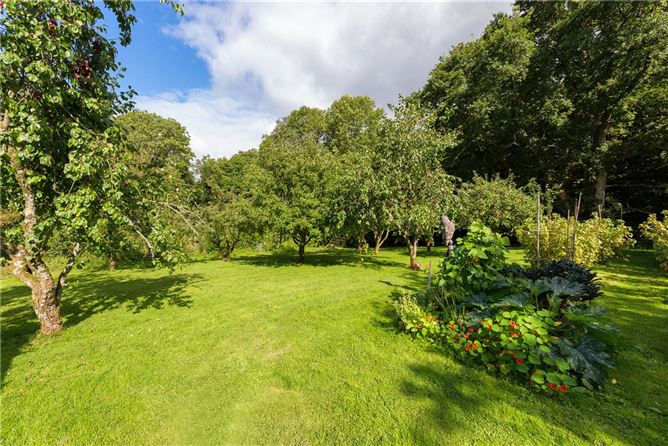 Aghsmear House On Approx. 30 Acres, Ashmere, Roscrea, Co. Tipperary