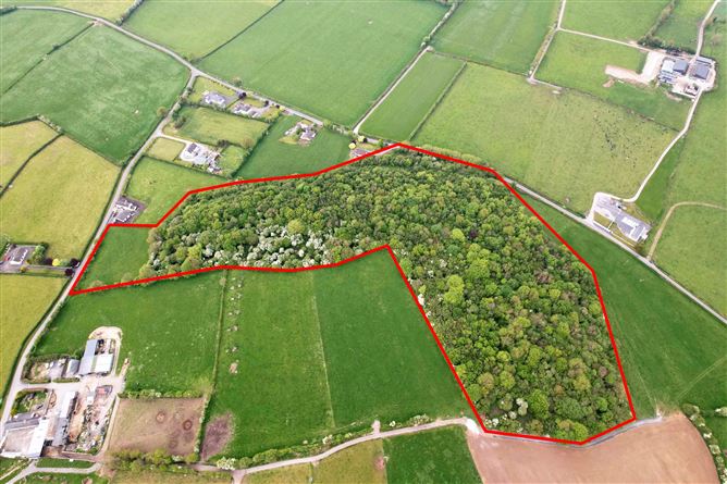 Kyle, Rathdowney, Laois