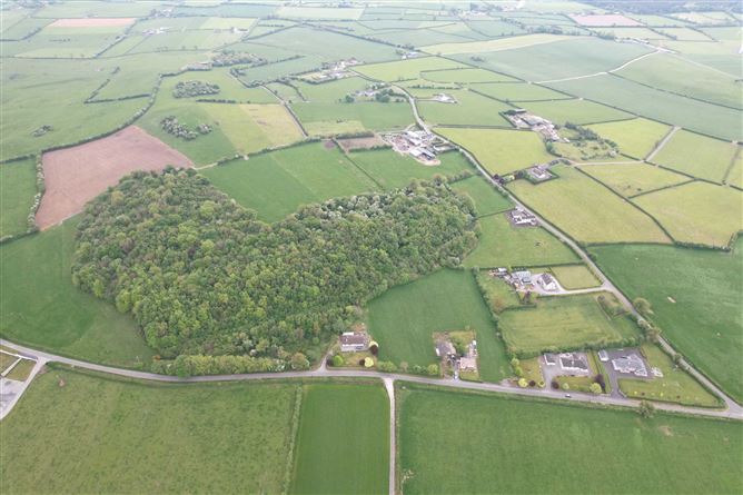 Kyle, Rathdowney, Laois