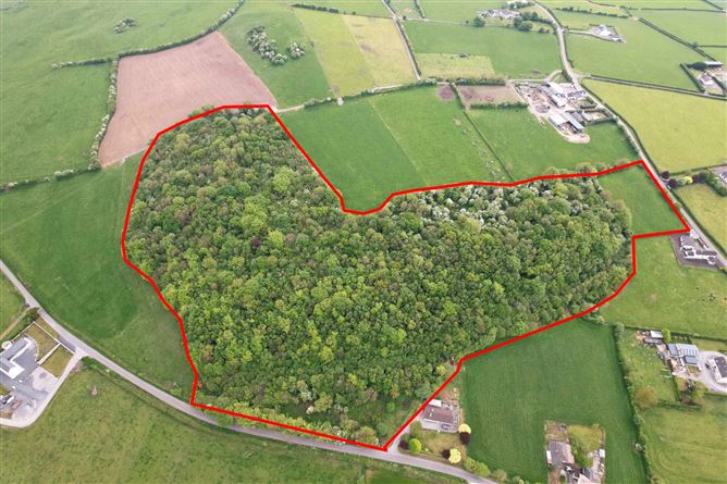 Kyle, Rathdowney, Laois