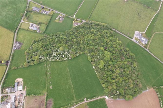 Kyle, Rathdowney, Laois