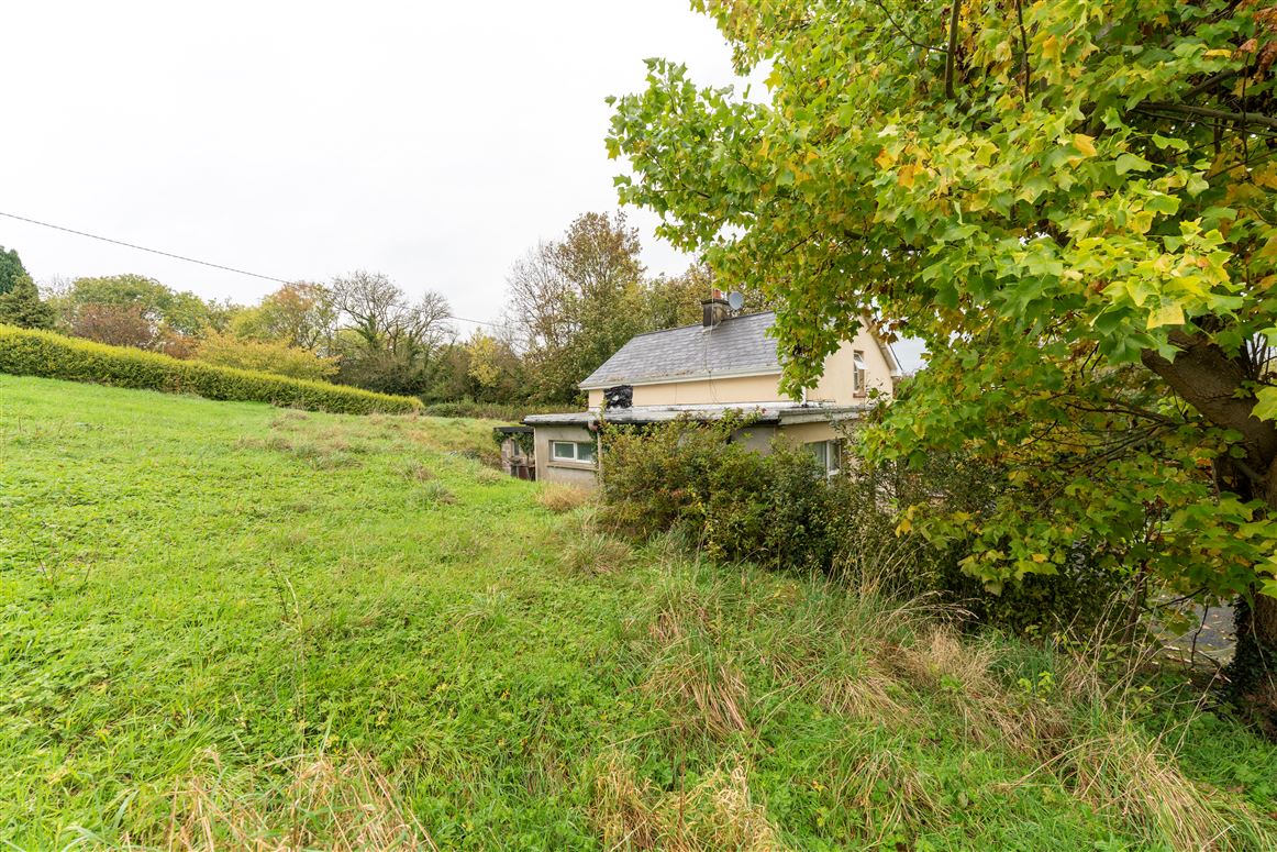 Grange East , Boher, Limerick