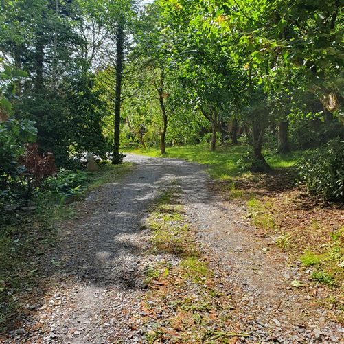 Fig Tree Cottage, Meenies Upper, Drimoleague,   West Cork