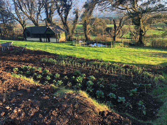 Fig Tree Cottage, Meenies Upper, Drimoleague,   West Cork