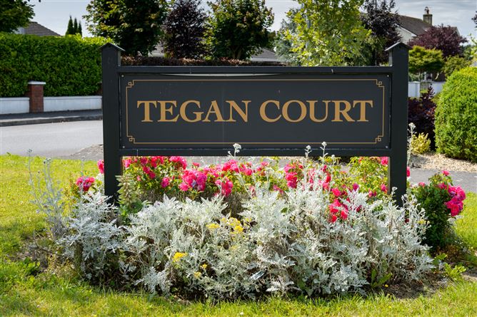 42 Tegan Court, Screggan, Co. Offaly