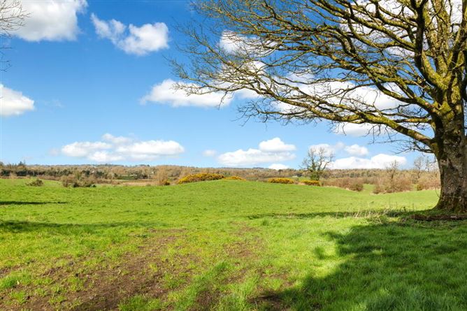 Lisnagon, Carnaross, Meath
