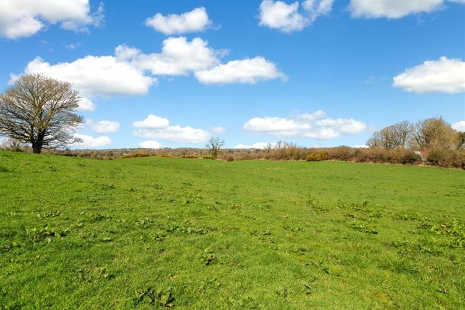 Lisnagon, Carnaross, Meath