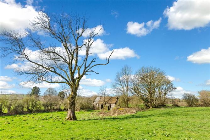 Lisnagon, Carnaross, Meath