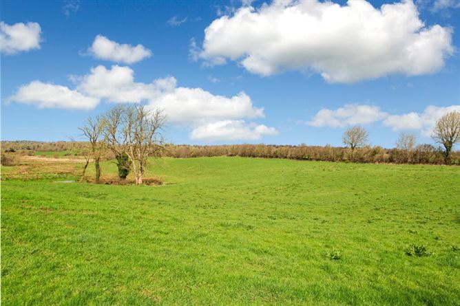 Lisnagon, Carnaross, Meath