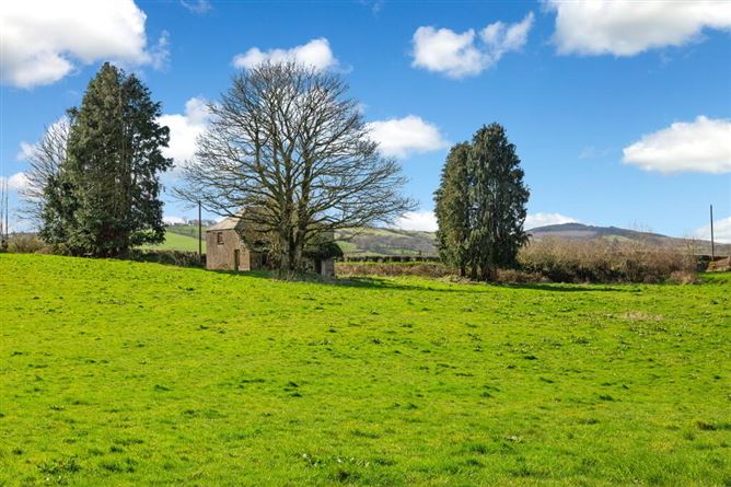 Lisnagon, Carnaross, Meath