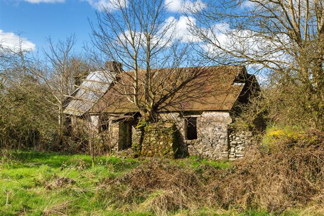 Lisnagon, Carnaross, Meath
