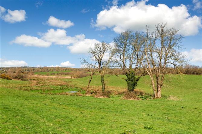 Lisnagon, Carnaross, Meath