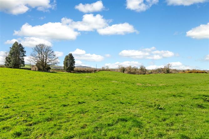 Lisnagon, Carnaross, Meath