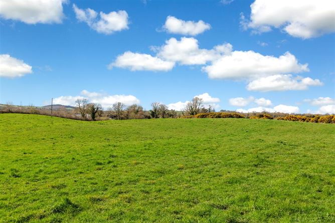 Lisnagon, Carnaross, Meath