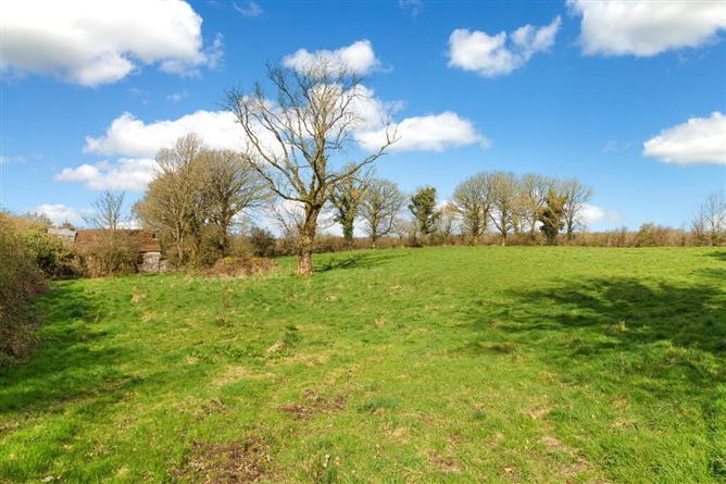 Lisnagon, Carnaross, Meath